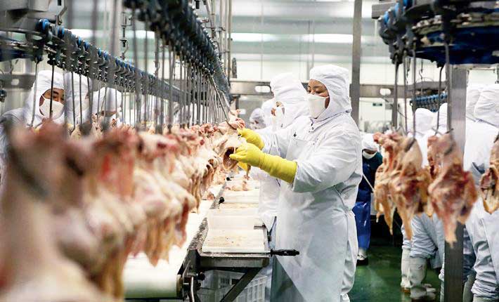 timg-(4).jpg timg-(4).jpg