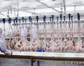 自(zi)動(dong)化設備(bei)