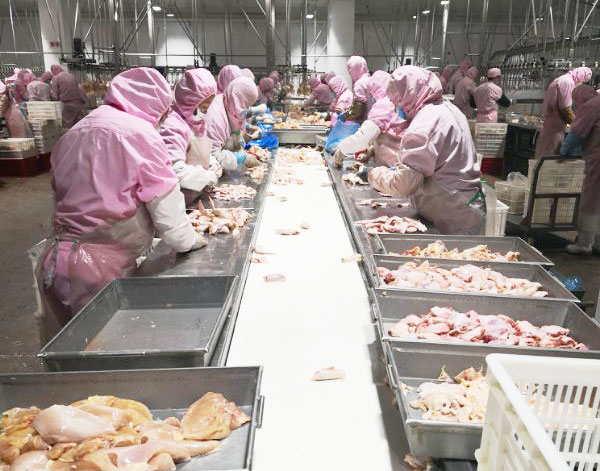 産品(pin)分揀(jian)