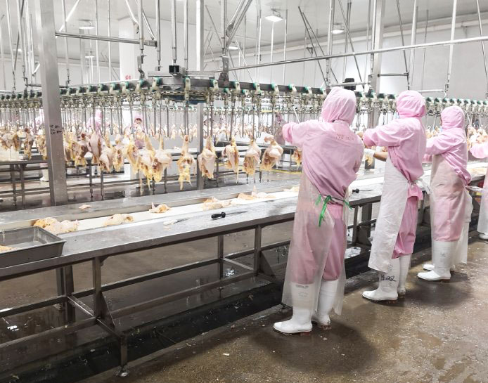 清(qing)洗懸(xuan)掛(gua)